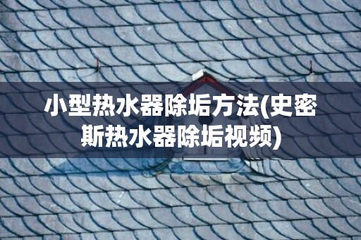 小型热水器除垢方法(史密斯热水器除垢视频)