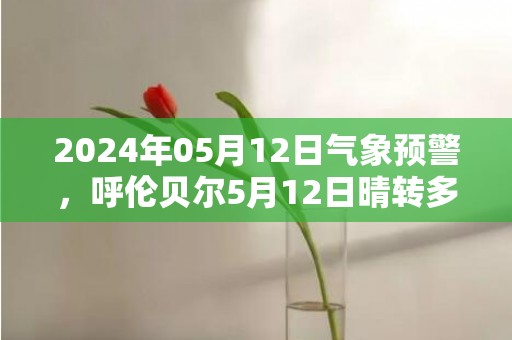 2024年05月12日气象预警，呼伦贝尔5月12日晴转多云最高温度20℃