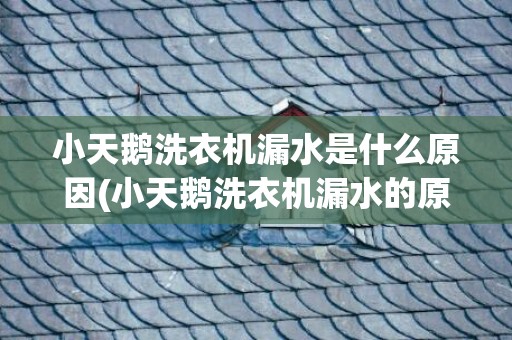 小天鹅洗衣机漏水是什么原因(小天鹅洗衣机漏水的原因和简单修理费用)
