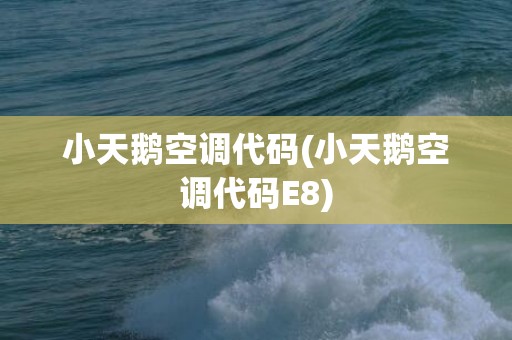 小天鹅空调代码(小天鹅空调代码E8)