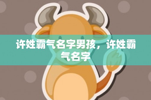许姓霸气名字男孩，许姓霸气名字