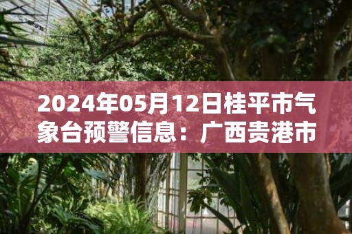 2024年05月12日桂平市气象台预警信息：广西贵港市桂平市发布暴雨橙色预警