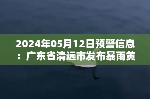 2024年05月12日预警信息：广东省清远市发布暴雨黄色预警