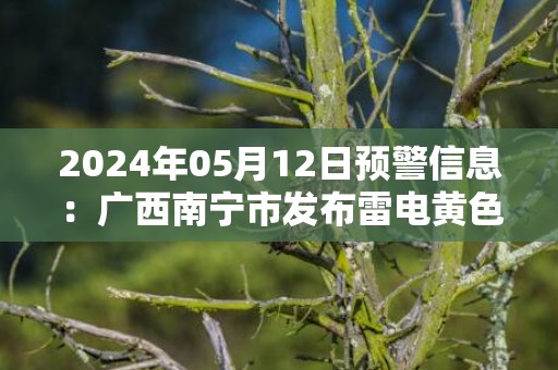 2024年05月12日预警信息：广西南宁市发布雷电黄色预警