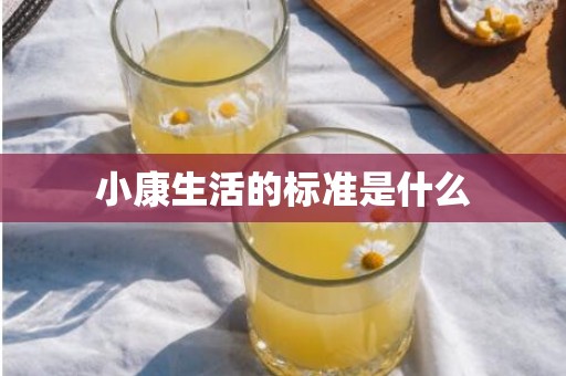 小康生活的标准是什么