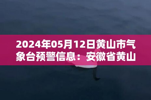 2024年05月12日黄山市气象台预警信息：安徽省黄山市发布暴雨蓝色预警