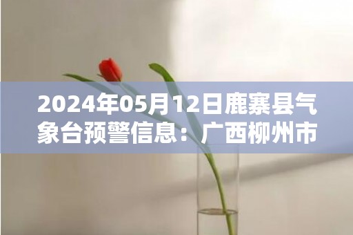 2024年05月12日鹿寨县气象台预警信息：广西柳州市鹿寨县更新暴雨橙色预警