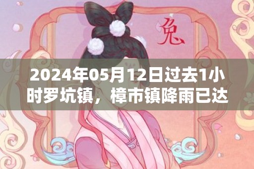 2024年05月12日过去1小时罗坑镇，樟市镇降雨已达40到50毫米，预计降雨将持续，曲江区气象台已于预警信息：广东省韶关市曲江区发布暴雨橙色预警