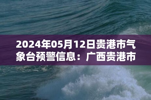 2024年05月12日贵港市气象台预警信息：广西贵港市发布雷电黄色预警