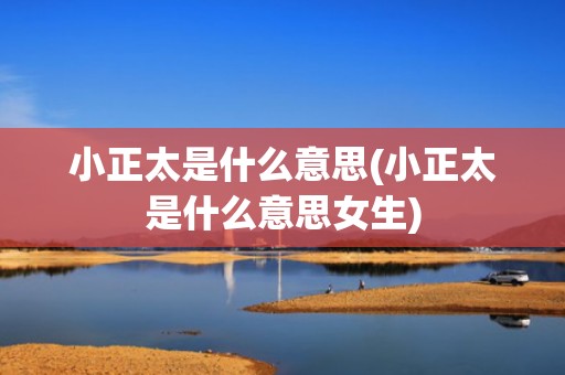 小正太是什么意思(小正太是什么意思女生)