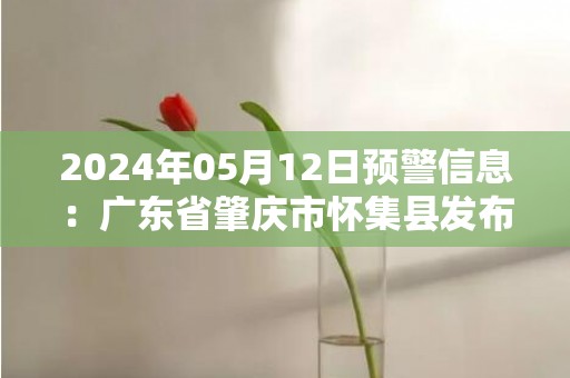2024年05月12日预警信息：广东省肇庆市怀集县发布暴雨橙色预警