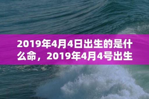 2019年4月4日出生的是什么命，2019年4月4号出生的五行缺木女宝宝起名参考