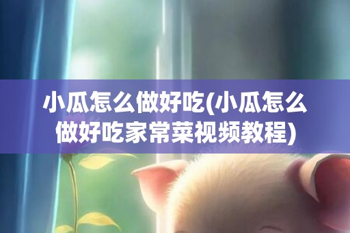小瓜怎么做好吃(小瓜怎么做好吃家常菜视频教程)
