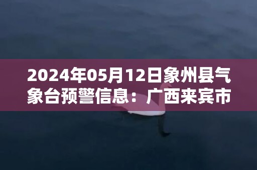 2024年05月12日象州县气象台预警信息：广西来宾市象州县发布暴雨橙色预警