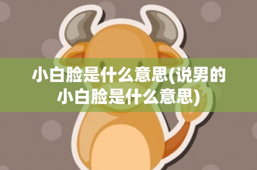 小白脸是什么意思(说男的小白脸是什么意思)