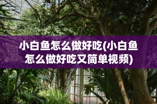 小白鱼怎么做好吃(小白鱼怎么做好吃又简单视频)