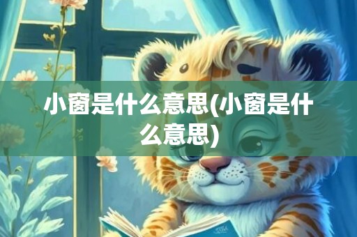 小窗是什么意思(小窗是什么意思)