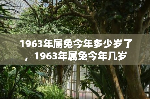 1963年属兔今年多少岁了，1963年属兔今年几岁