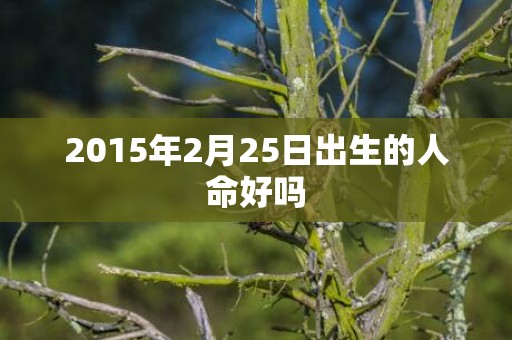 2015年2月25日出生的人命好吗