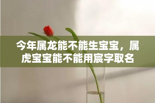 今年属龙能不能生宝宝，属虎宝宝能不能用宸字取名