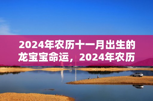 2024年农历十一月出生的龙宝宝命运，2024年农历十一月二十四黄历好不好