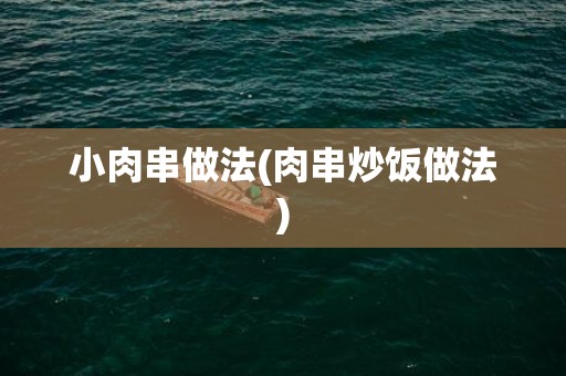 小肉串做法(肉串炒饭做法)