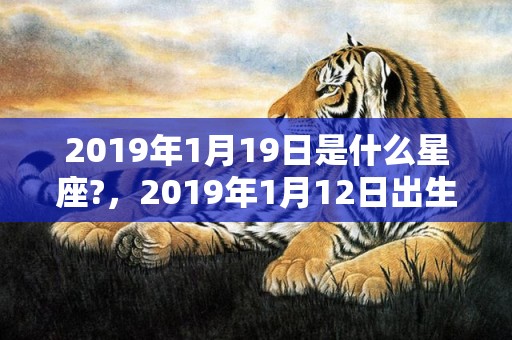 2019年1月19日是什么星座?，2019年1月12日出生的人命好吗