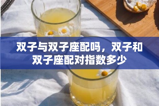 双子与双子座配吗，双子和双子座配对指数多少