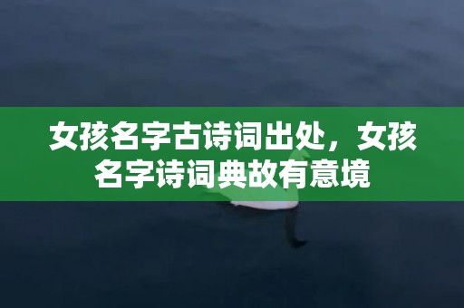 女孩名字古诗词出处，女孩名字诗词典故有意境