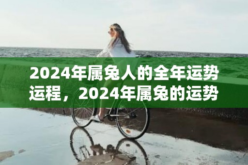 2024年属兔人的全年运势运程，2024年属兔的运势和财运1987年