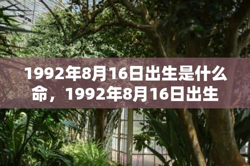 1992年8月16日出生是什么命，1992年8月16日出生的人命好吗
