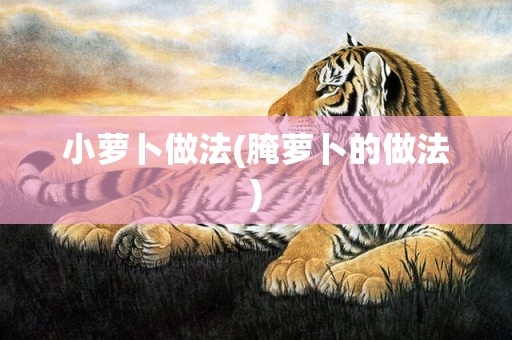 小萝卜做法(腌萝卜的做法)