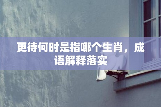 更待何时是指哪个生肖，成语解释落实