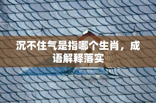 沉不住气是指哪个生肖，成语解释落实
