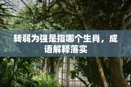 转弱为强是指哪个生肖，成语解释落实