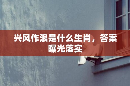 兴风作浪是什么生肖，答案曝光落实