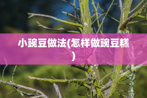 小豌豆做法(怎样做豌豆糕)