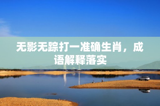 无影无踪打一准确生肖，成语解释落实