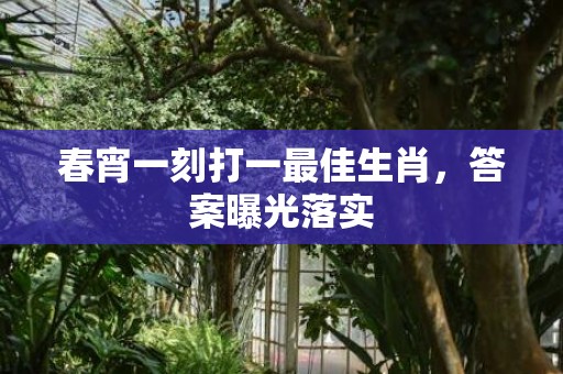 春宵一刻打一最佳生肖，答案曝光落实
