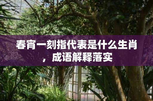 春宵一刻指代表是什么生肖，成语解释落实