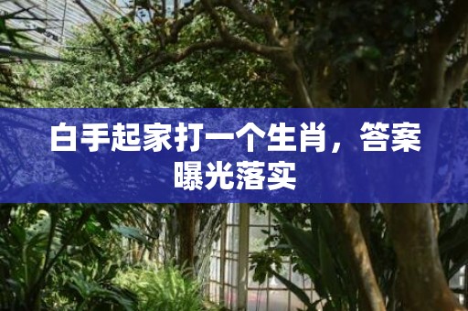 白手起家打一个生肖，答案曝光落实