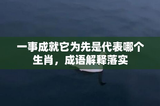 一事成就它为先是代表哪个生肖，成语解释落实