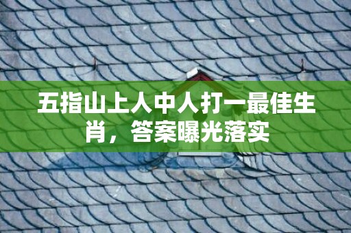 五指山上人中人打一最佳生肖，答案曝光落实