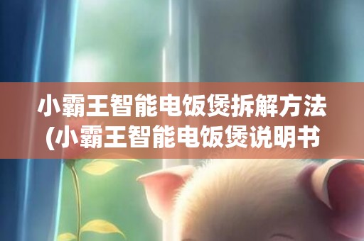 小霸王智能电饭煲拆解方法(小霸王智能电饭煲说明书)