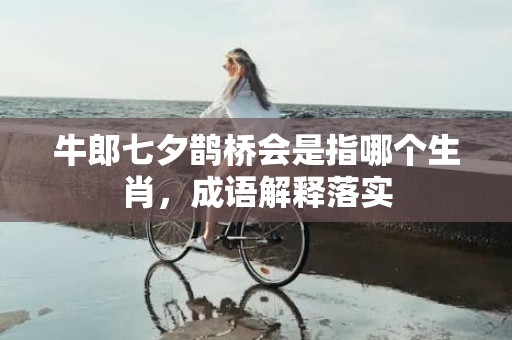 牛郎七夕鹊桥会是指哪个生肖，成语解释落实