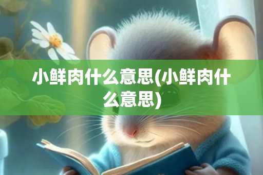 小鲜肉什么意思(小鲜肉什么意思)