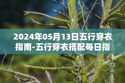 2024年05月13日五行穿衣指南-五行穿衣搭配每日指南