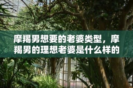 摩羯男想要的老婆类型，摩羯男的理想老婆是什么样的？