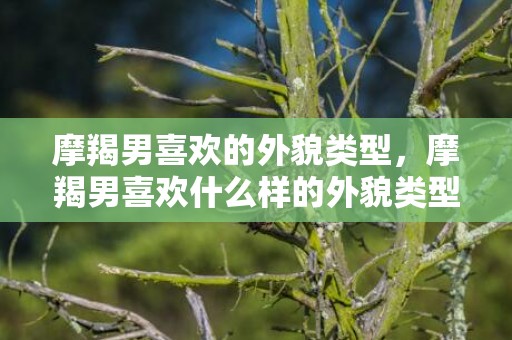 摩羯男喜欢的外貌类型，摩羯男喜欢什么样的外貌类型？
