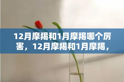 12月摩羯和1月摩羯哪个厉害，12月摩羯和1月摩羯，谁更厉害？